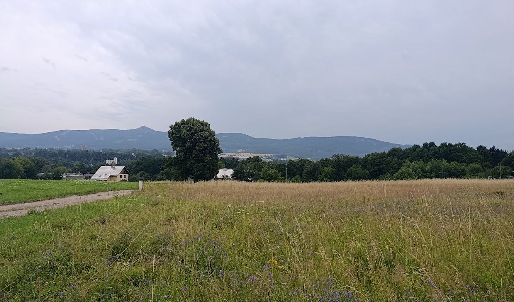 Prodej stavebního pozemku 2 153 m², Liberec – náhled fotky 11