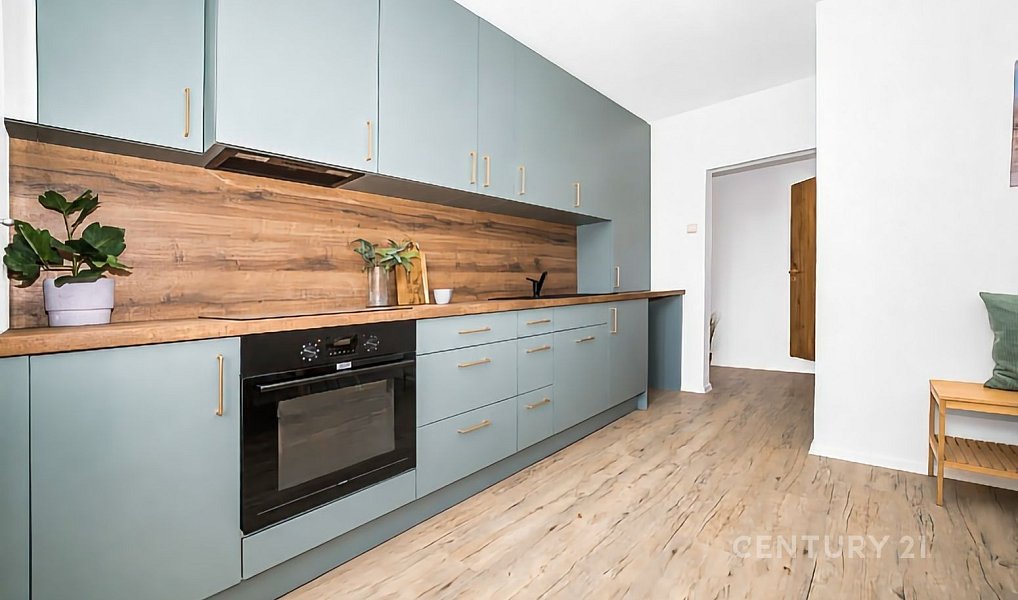 Prodej bytu 3+kk 65 m², Brno – náhled fotky 3