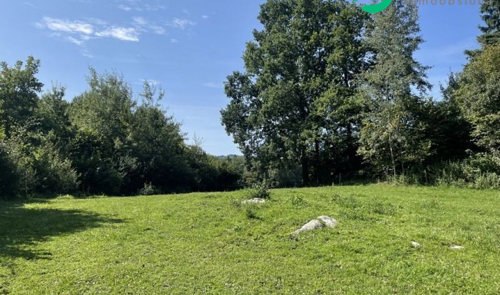 Prodej stavebního pozemku 3 805 m², Kolinec – náhled fotky 2