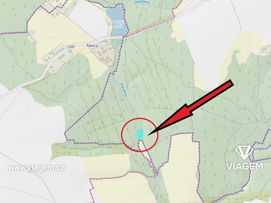 Prodej lesa 1 638 m² – fotografie 4