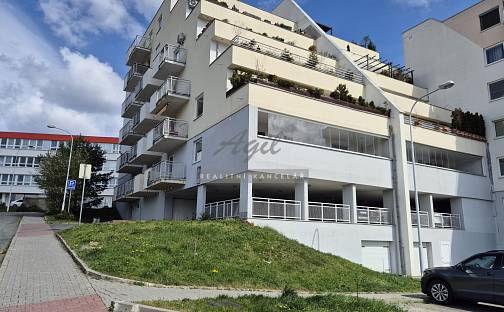 Prodej bytu 1+kk 44 m², Brno - Lesná
