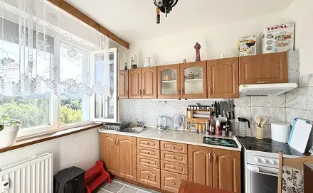 Pronájem bytu 1+1 40 m², Haškova, Liberec - Liberec VI-Rochlice