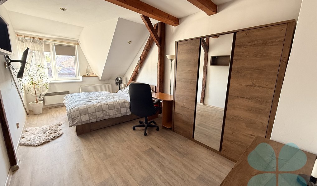 Prodej domu 220 m² s pozemkem 449 m², Radnice – náhled fotky 16