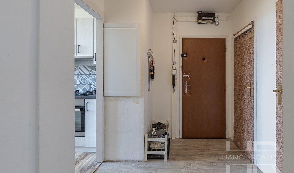 Prodej bytu 3+1 66 m², Brno – náhled fotky 26