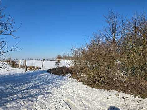 Prodej komerčního pozemku 6 110 m² — photo 4