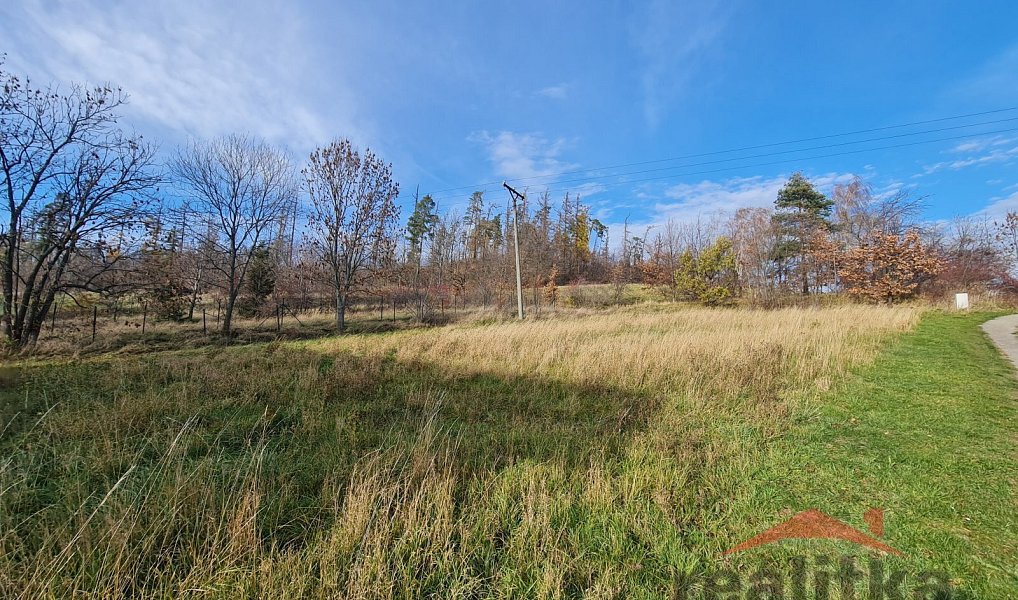 Prodej stavebního pozemku 1 216 m², Sosnová – náhled fotky 4