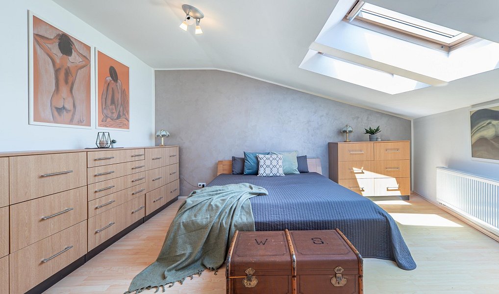 Prodej domu 319 m² s pozemkem 300 m², Sluhy – náhled fotky 11