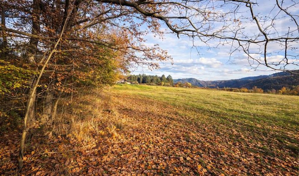 Prodej pozemku 1 467 m², Slapy – náhled fotky 5