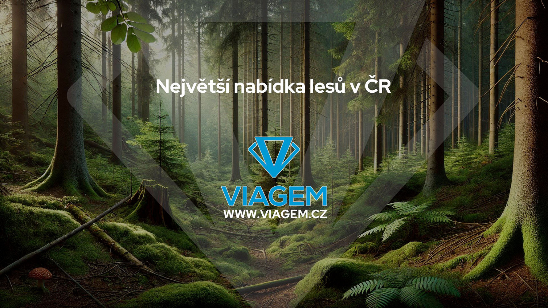 Les 3 979 m², Podíl 63 % o výměře 2 487 m² – pohled 5