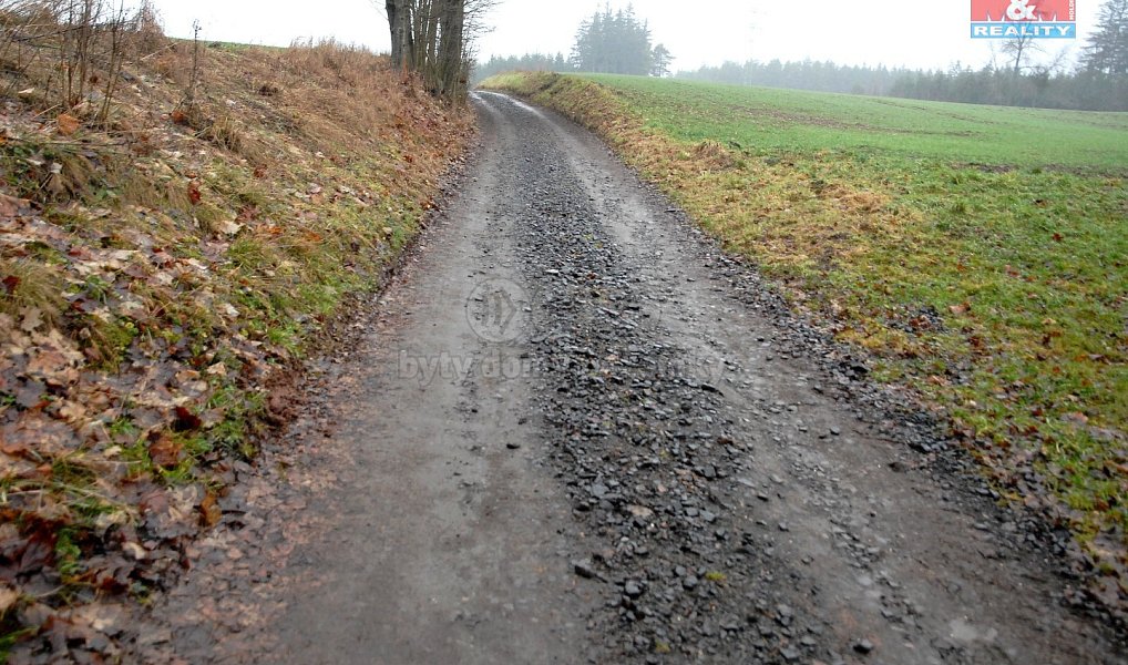 Prodej pole 2 465 m², Lomnice nad Popelkou – náhled fotky 6