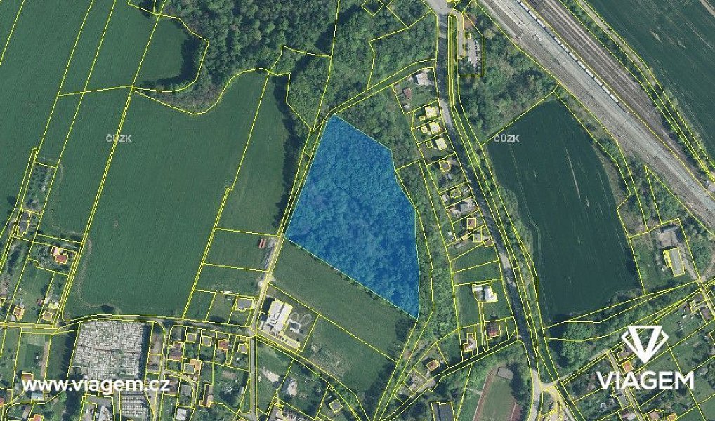 Prodej lesa 25 022 m², Dětmarovice – náhled fotky 4
