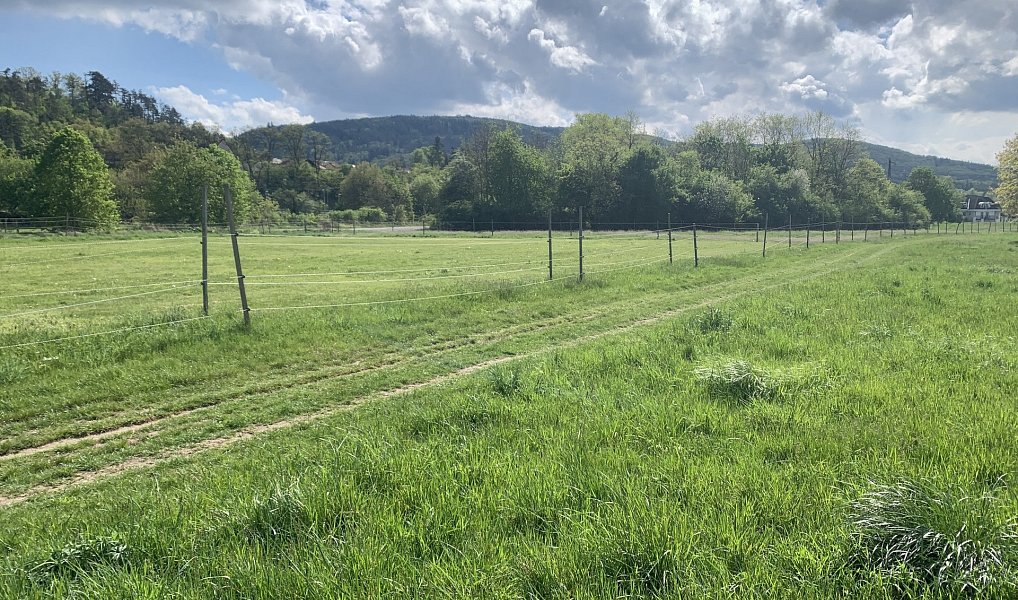 Prodej komerčního pozemku 44 521 m², Všenory – náhled fotky 3