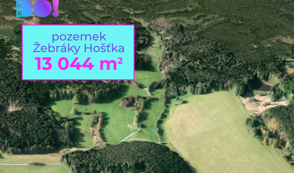 Prodej pozemku, 13044 m², Tachov, Hošťka