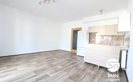 Pronájem bytu 1+kk 42 m²