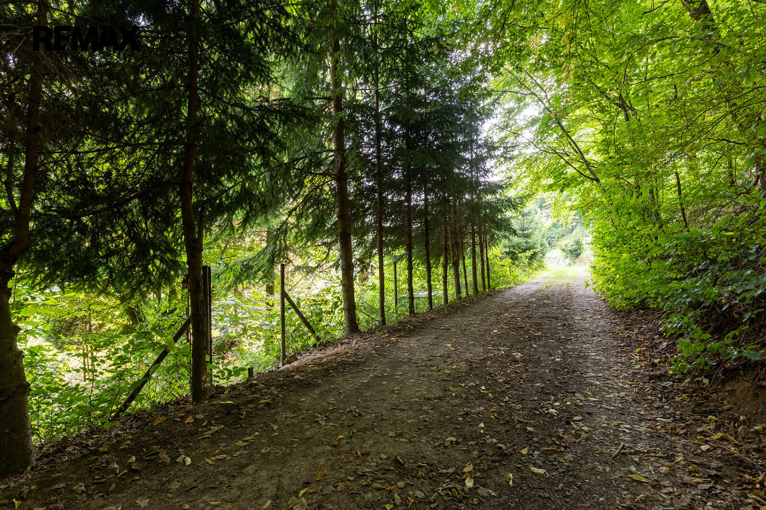 Prodej stavebního pozemku 1 234 m² – fotografie 2
