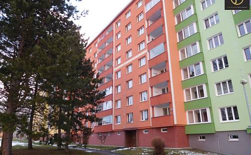 Prodej bytu 1+1 36 m², Družební, Ostrov, okres Karlovy Vary