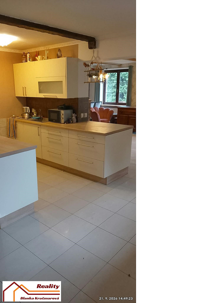 Prodej domu 300 m² s pozemkem 1 830 m² – fotografie 3