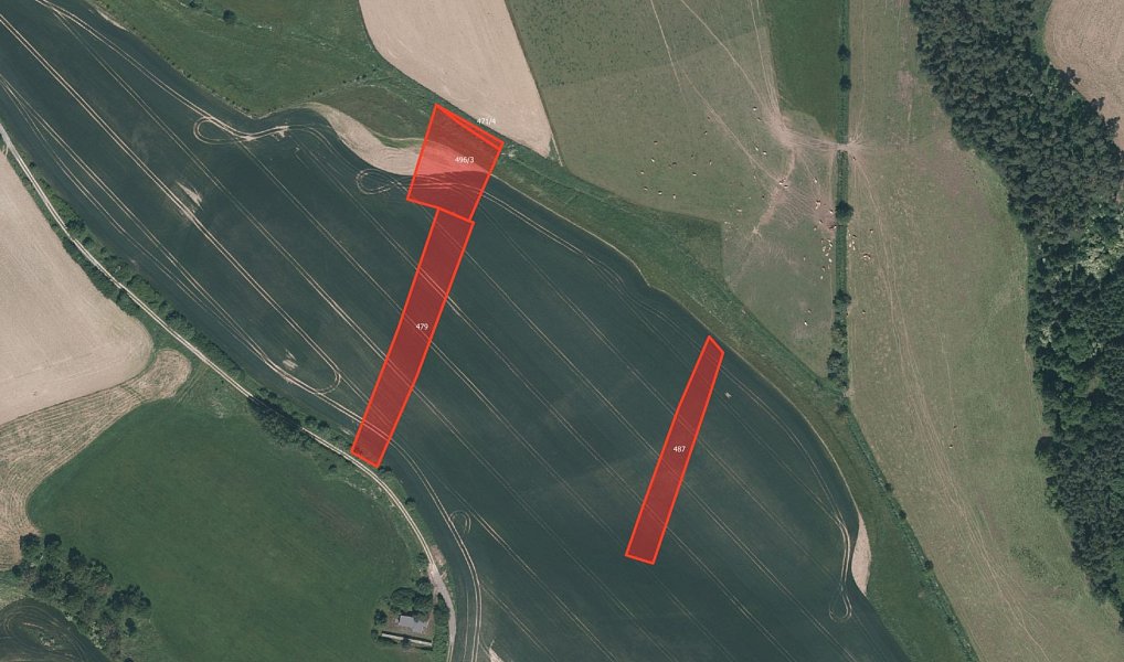 Prodej pole 41 758 m², Velký Bor – náhled fotky 3