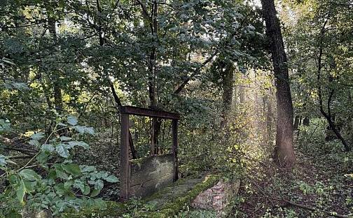 Prodej pozemku 2 784 m², Bohuslavice, okres Náchod