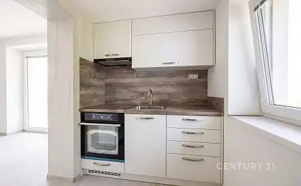 Pronájem bytu 3+kk 49 m²