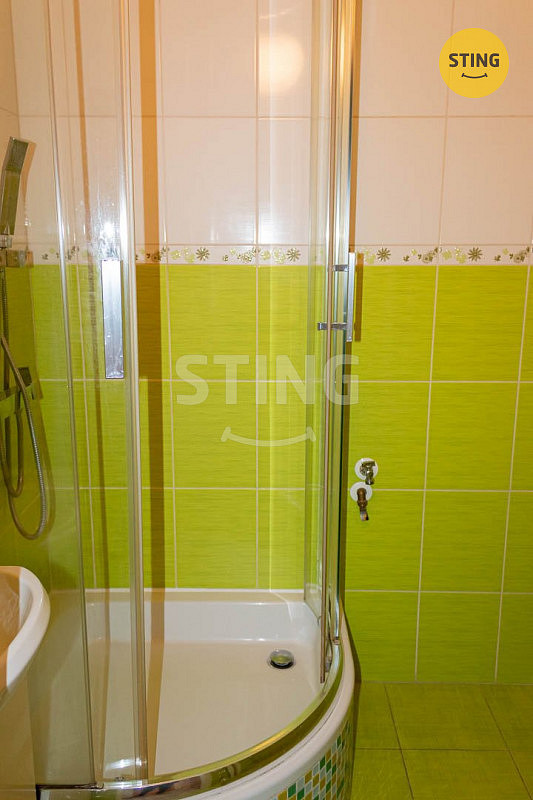 Pronájem bytu 1+1 36 m² – fotografie 5