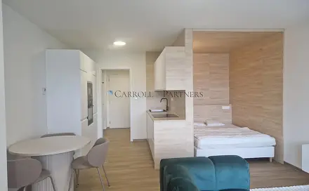 Pronájem bytu 1+kk 40 m², U Hájenky, Ostrava - Slezská Ostrava