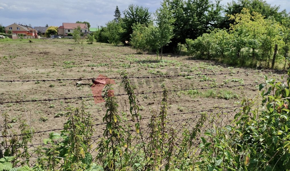 Prodej zahrady 4 174 m², Charváty – náhled fotky 3