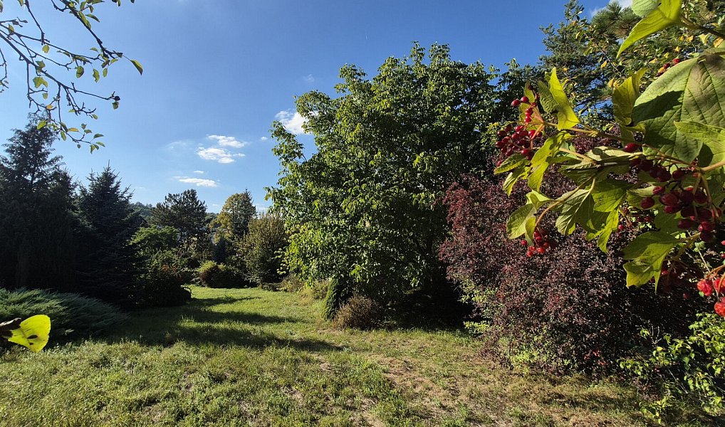 Prodej domu 330 m² s pozemkem 198 m², Letovice – náhled fotky 11