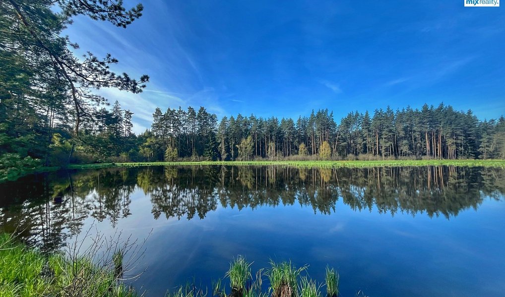 Prodej vodní plochy 16 545 m², Trstěnice – náhled fotky 5