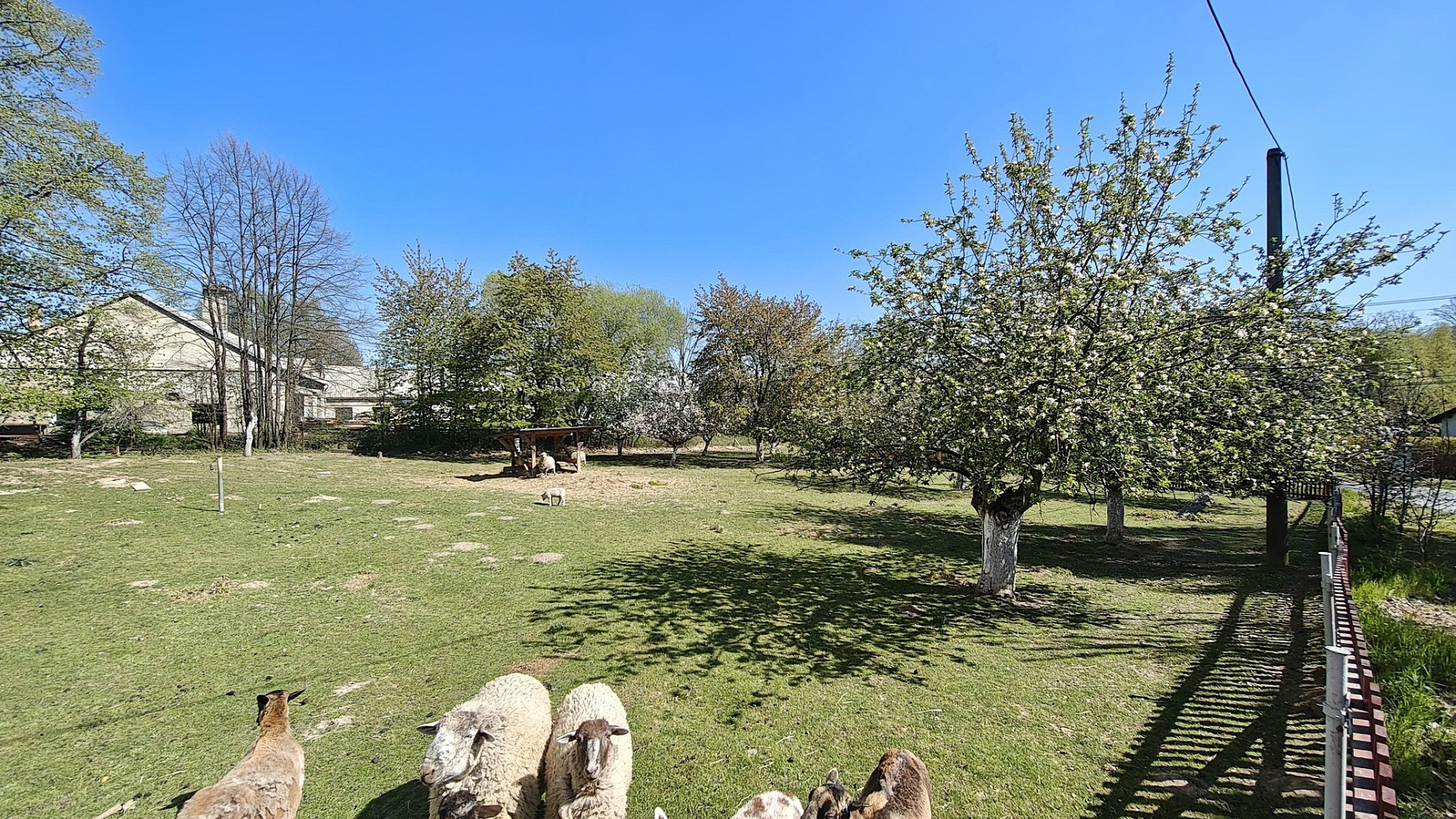 Prodej stavebního pozemku 1 156 m² – fotografie 3