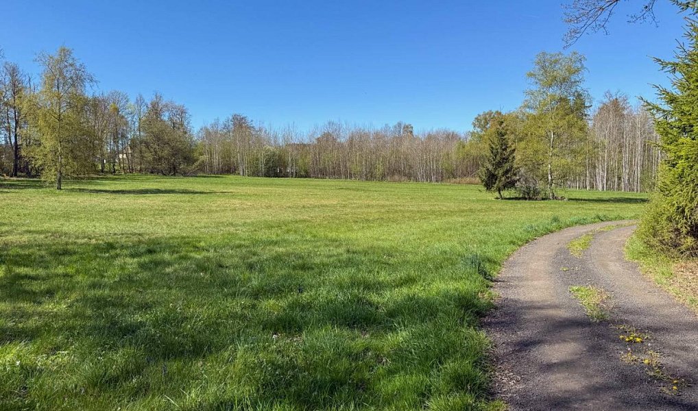 Prodej stavebního pozemku 8 053 m², Děpoltovice – náhled fotky 5