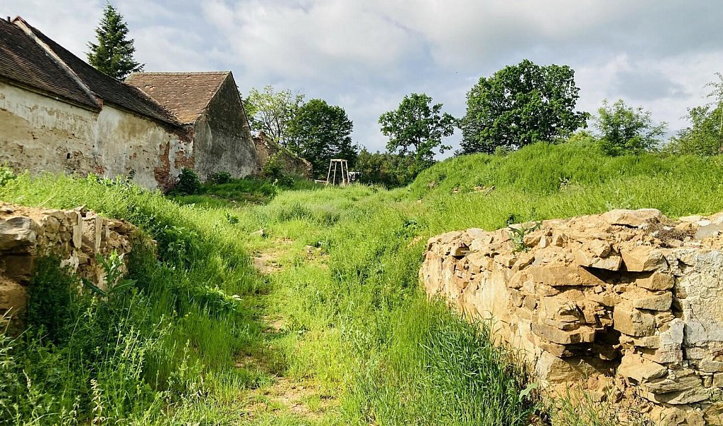 Prodej stavebního pozemku 1 781 m², Písečné – náhled fotky 8
