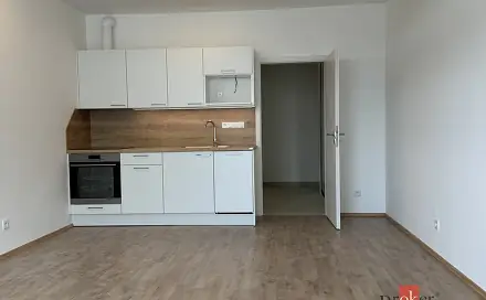 Prodej bytu 1+kk 46 m², Železná, Plzeň - Jižní Předměstí