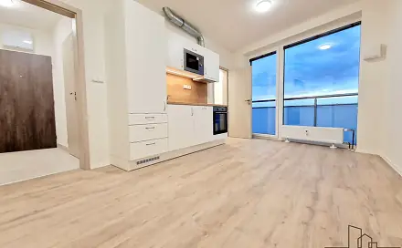 Pronájem bytu 1+kk 27 m², Provazníkova, Brno - Černá Pole