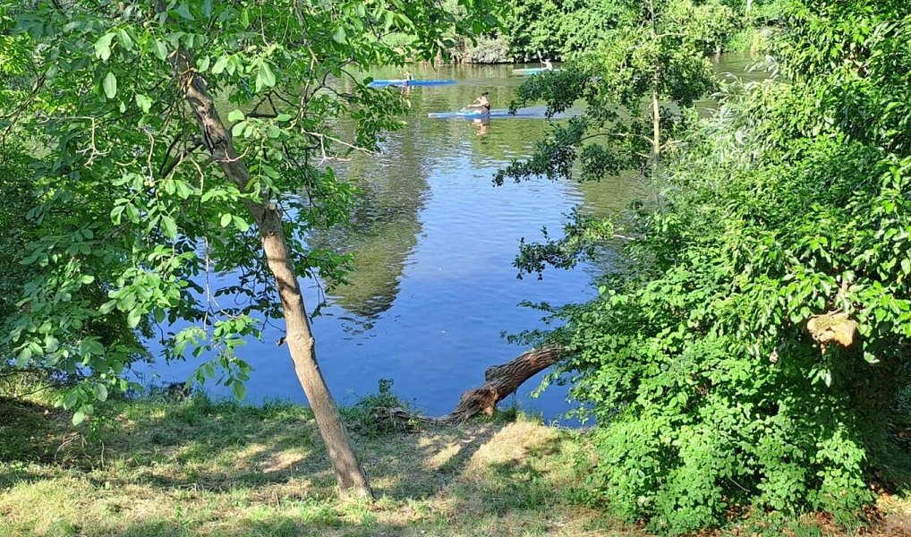 Prodej zahrady 1 116 m², Znojmo – náhled fotky 23