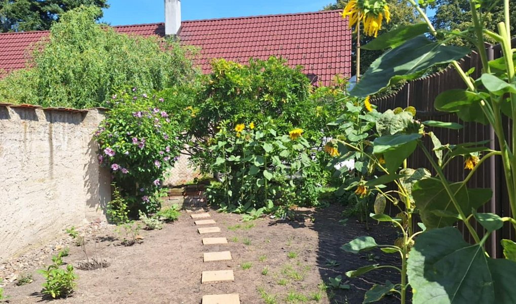 Prodej domu 170 m² s pozemkem 308 m², Třebechovice pod Orebem – náhled fotky 11