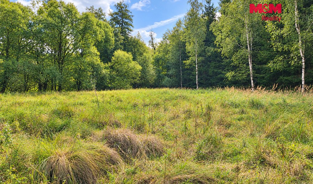 Prodej louky 10 113 m², Kožlany – náhled fotky 3