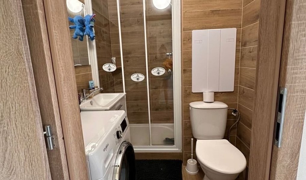 Prodej bytu 1+kk 21 m², Teplice – náhled fotky 2