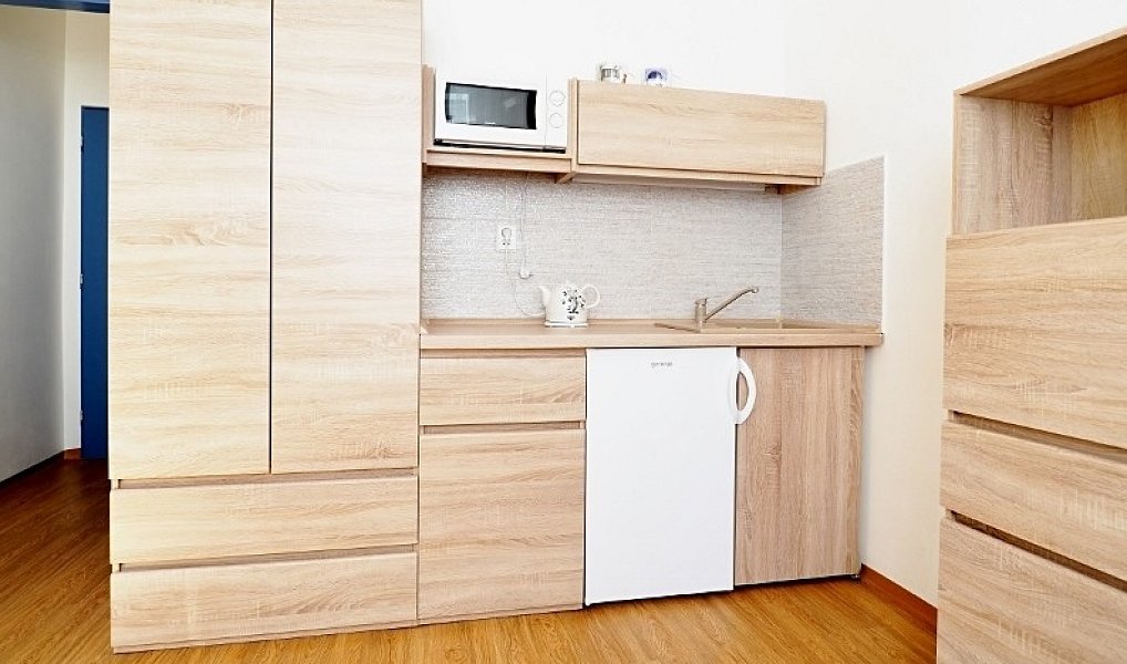 Prodej bytu 1+kk, 17 m², Zábrdovice - Brno-město, Brno