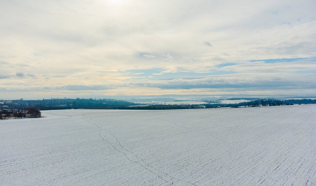 Prodej pole 54 498 m², Běhařovice – náhled fotky 4