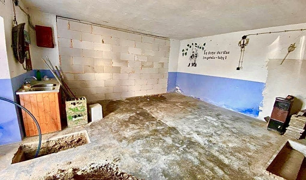Nový Šaldorf - Sedlešovice, lisovna, 145 m2, pozemek 978 m2 vinný sklep, Nový Šaldorf-Sedlešovice – náhled fotky 14