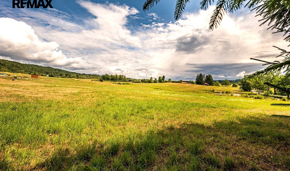Prodej stavebního pozemku 4 020 m², Horní Dvořiště – náhled fotky 17
