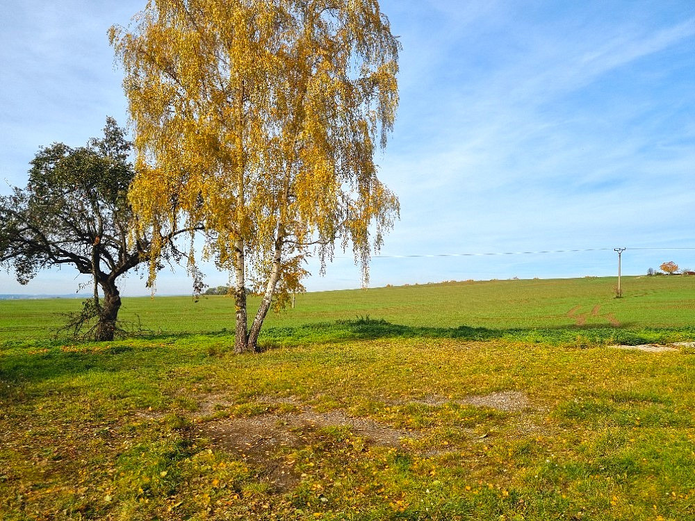 Prodej stavebního pozemku 2 051 m² – fotografie 5