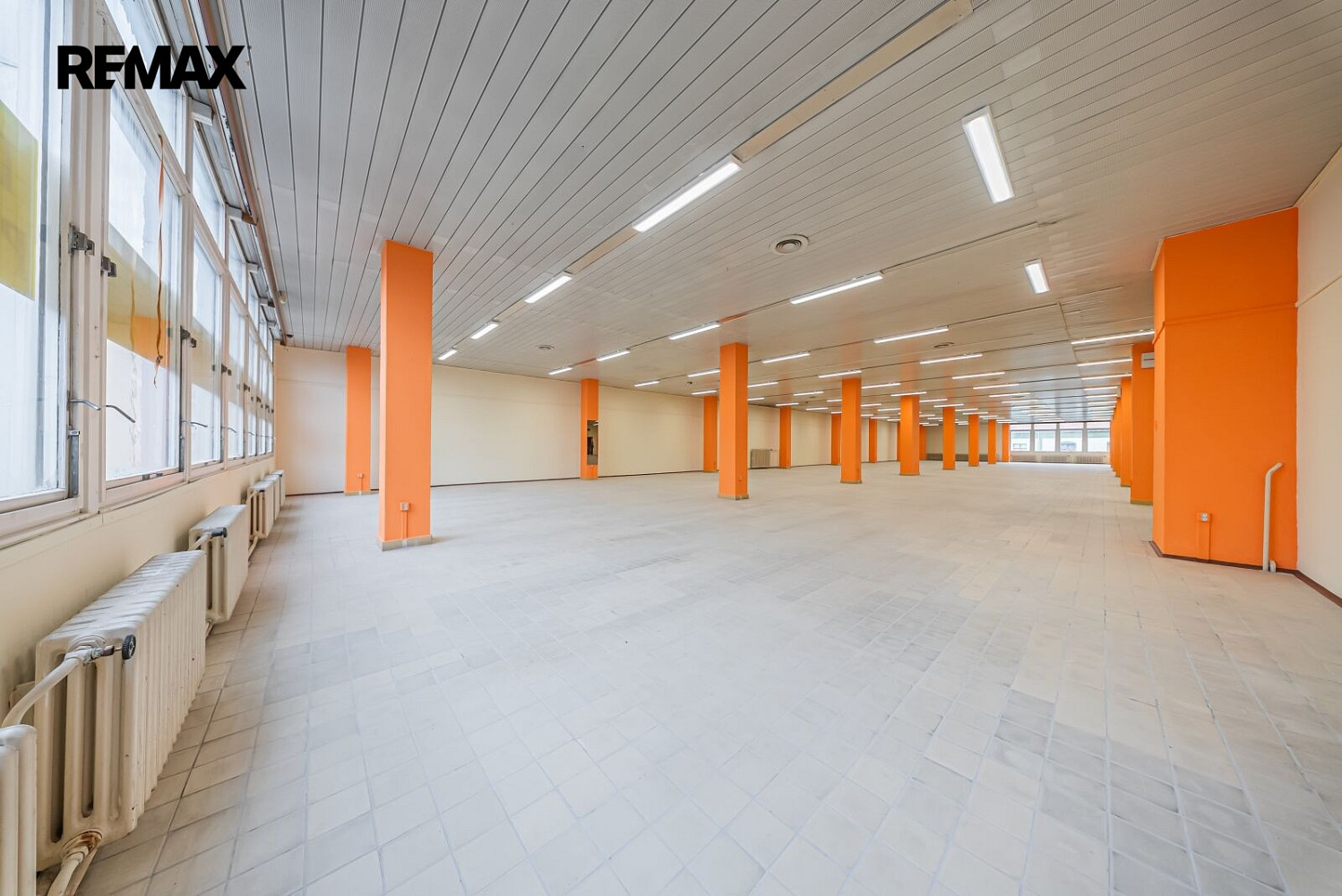 Pronájem obchodních prostor 1 366 m² – fotografie 5