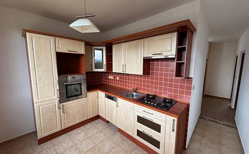 Prodej bytu 2+1 67 m², Větrná, Ústí nad Labem - Severní Terasa