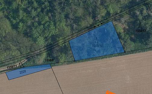 Prodej lesa 572 m², Cítov, okres Mělník