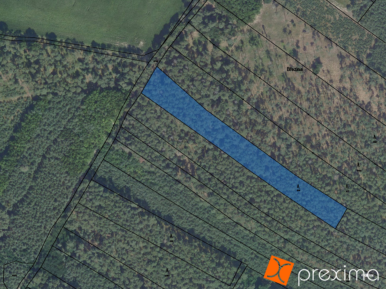 Prodej lesa 225 m²