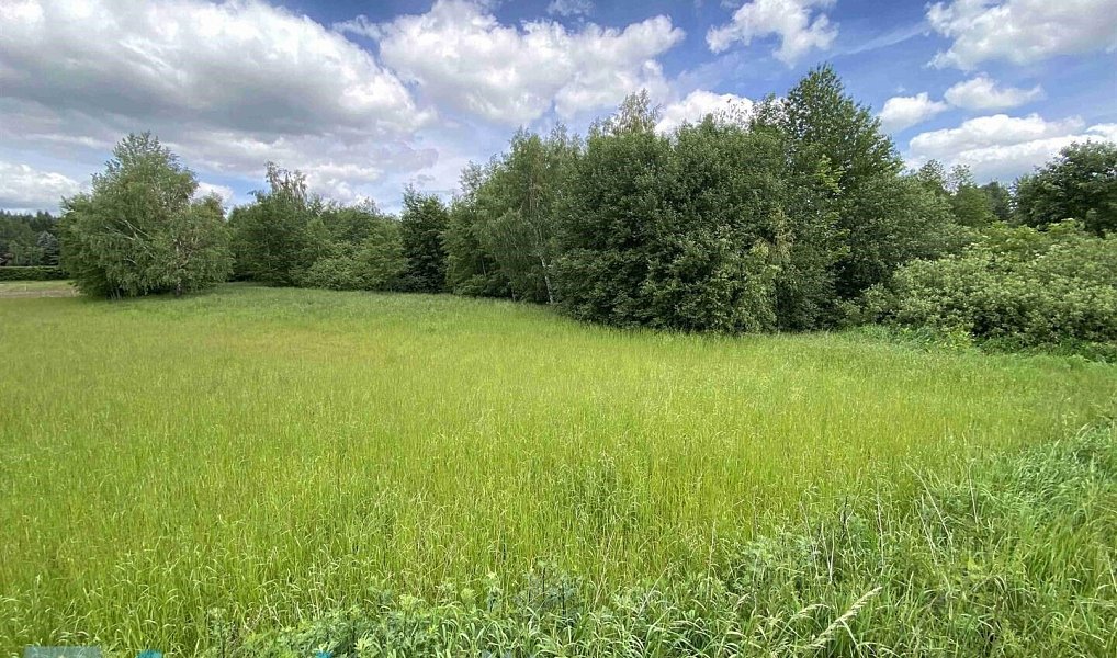 Prodej pozemku 7 893 m², Slavonice – náhled fotky 2
