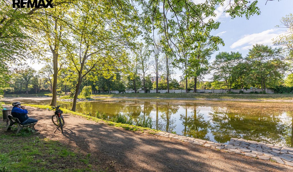 Pronájem bytu 3+kk 69 m², Praha – náhled fotky 25