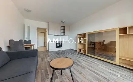 Pronájem bytu 1+kk 34 m²